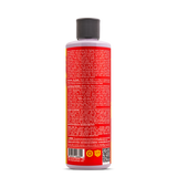 P4 Precision Paint Perfection Polish 16oz